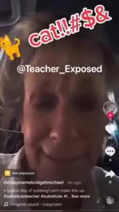 School Teacher says she was fired for not 'meowing' back at student who identifies as a cat