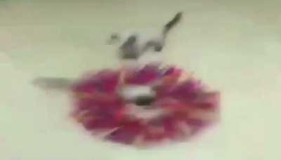 Folder of the memes part 5