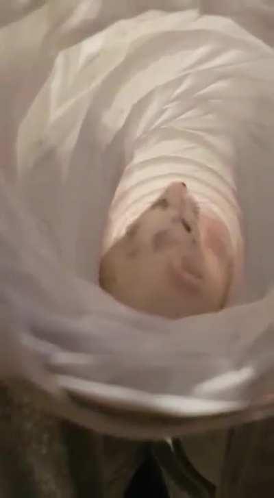 Surprise tunnel floof