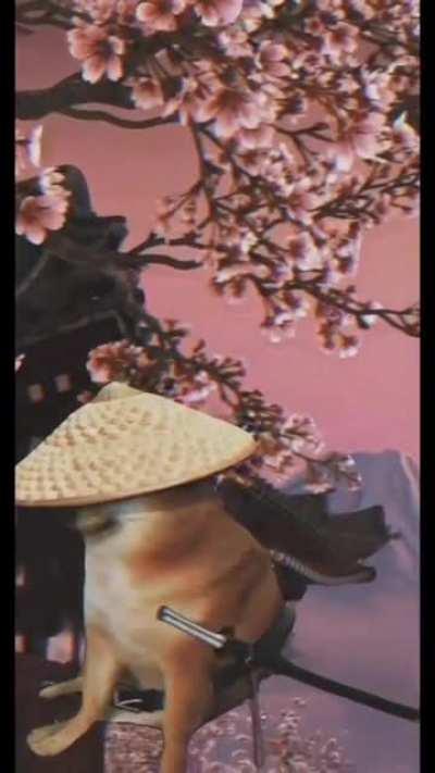 New inazuma katana weilder