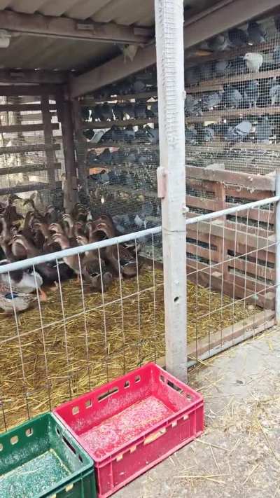 Need to place new lighting here