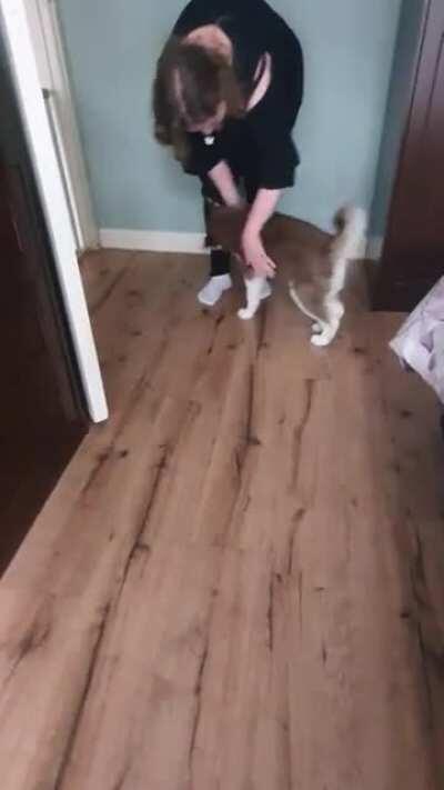 Nothing as heartwarming as a husky pups welcome