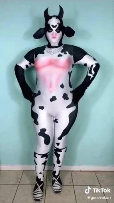 Nice cow