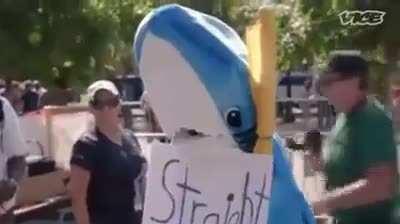 based shark