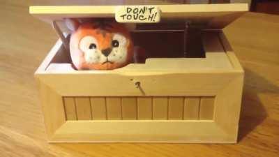 How can a box have this much personality