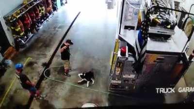 Reverse thrusters on. Flaps 20.