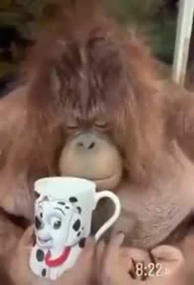 How im feeling rn 😂