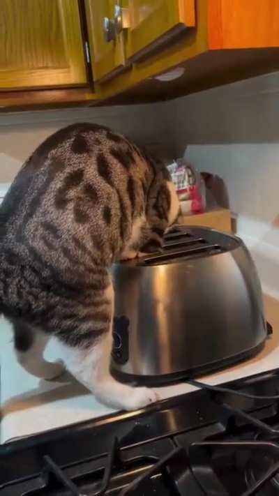 Bed & breakfast review