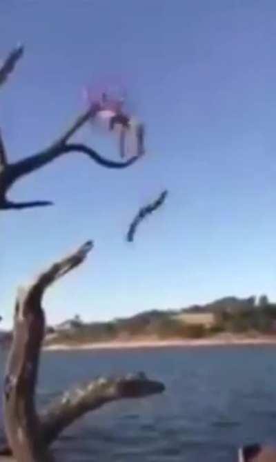 Thats not high enough