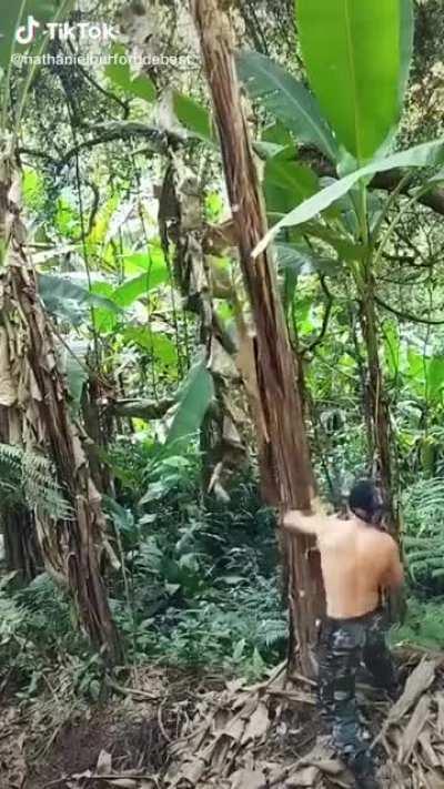 This is how every world starts