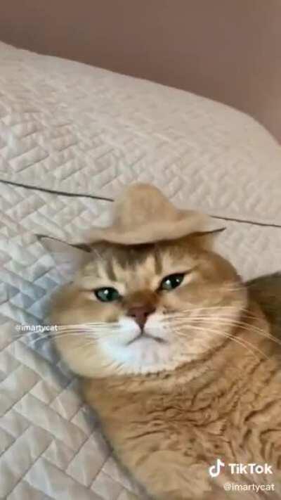 Thanks, I hate cat hair hat