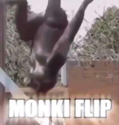 MONKEY GYMNASTICS