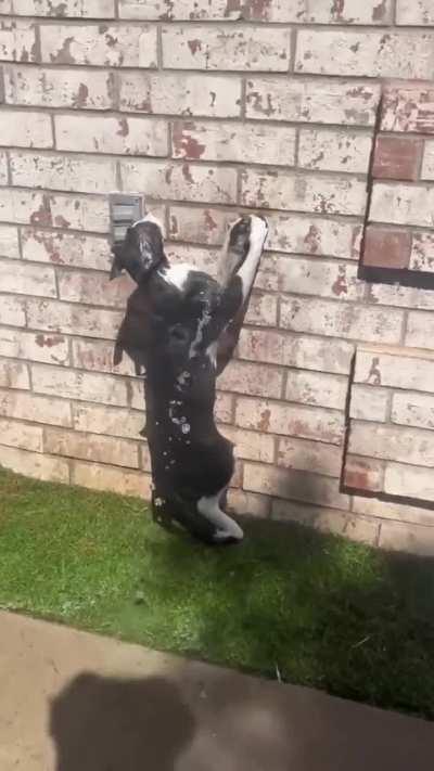 A glitch in the Catrix