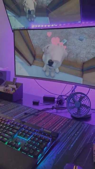 My other half tried out House Flipper Pets VR. It feels so realistic!!