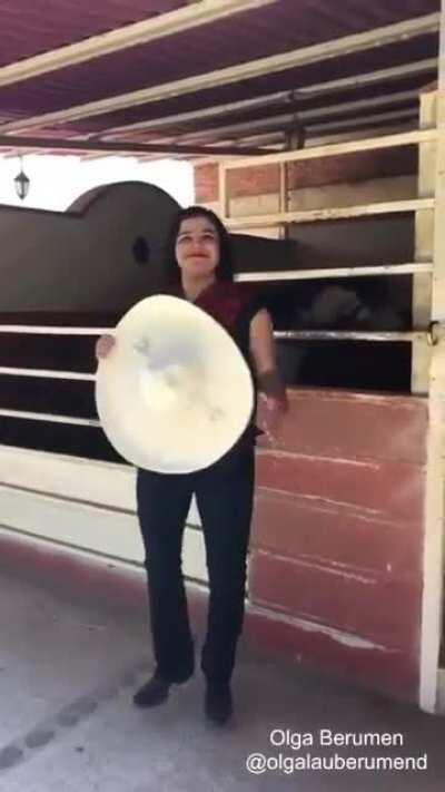 Escaramuzas de TikTok