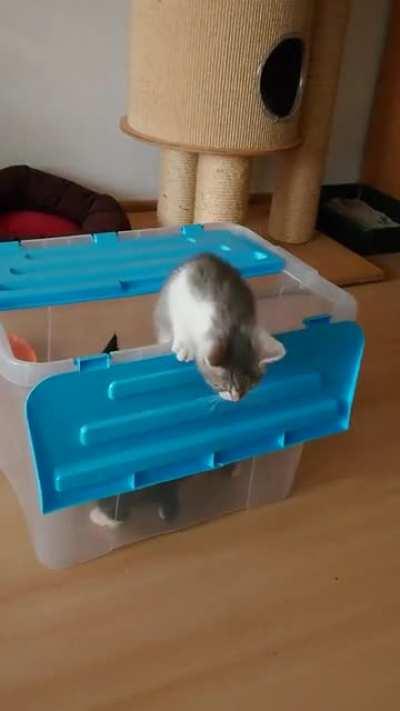 I made an unboxing video :)