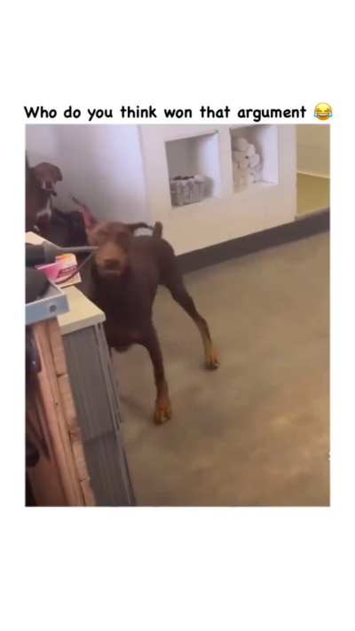 HMK I insist on another treat!!