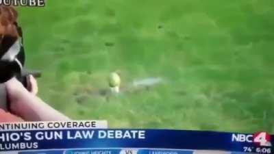 AR-15: Sunnis/Salafis Watermelon: Shias