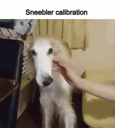 In the zoi club. and I straight up 