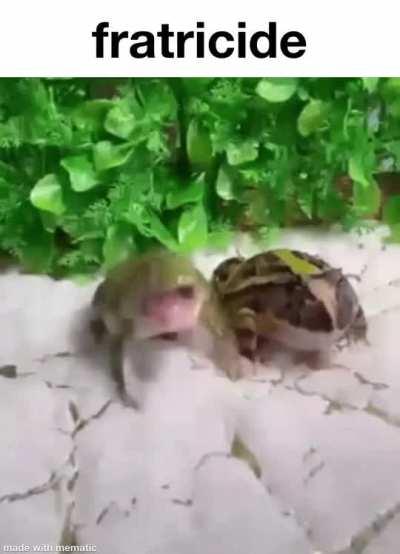 Shitposting daily because I'm copying that other guy (day 133)