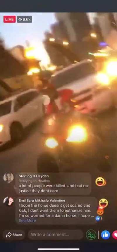 Protestor riding a horse downtown