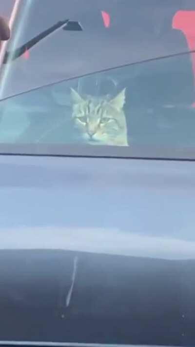 I've been made! Abort!