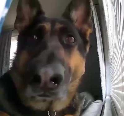 The motion camera detects a good boy :)