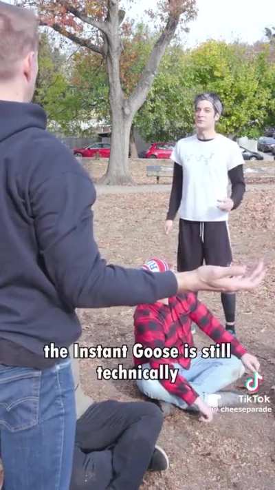 Instant Goose