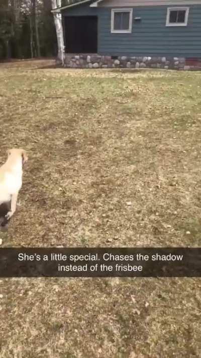 She’s trying her best