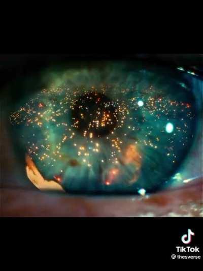 blade runner gibi bi evrende olmak... Hayali bile güzel