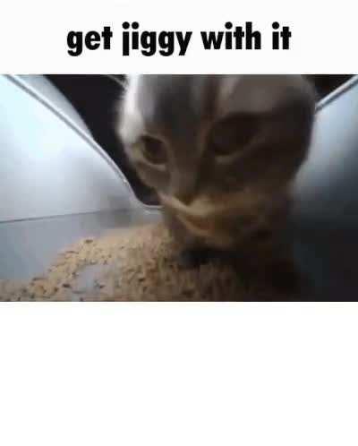 I'll rate your avatar!