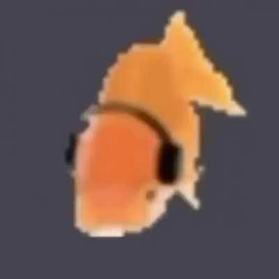 le fishe 🐟🐟🐟🐟