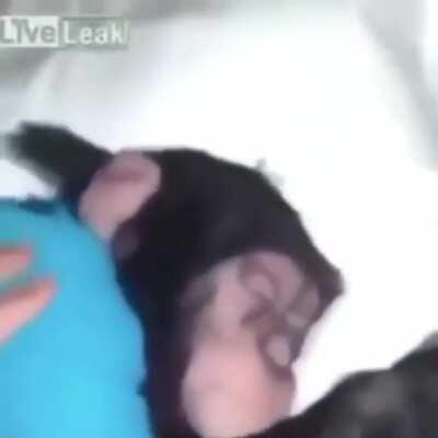 Dur anime kızı gitme...