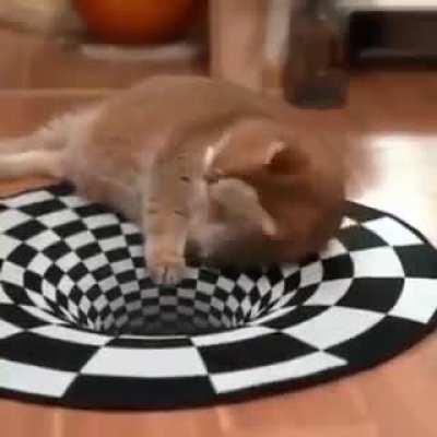 Cats don't care about magic. Please tell me if this isn't the right sub.