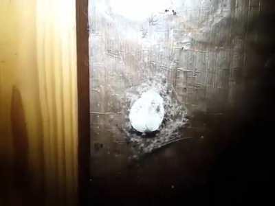 I don’t think spiders are that scary but this vid dude.