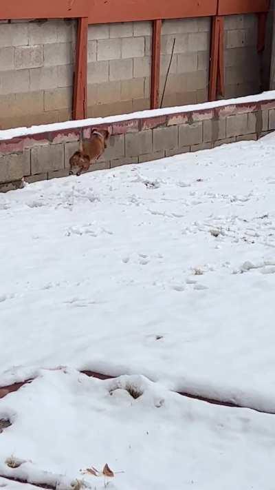 What is she looking for?