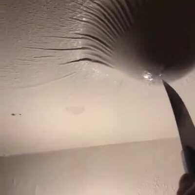 Thanks, I hate ceiling blisters.