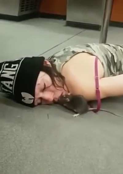 Passed out junkies are a rodents best friend! 🐁