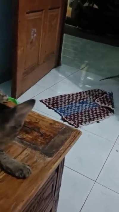 Bro lied in his Resume 