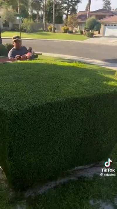 I can't stop watching this guy's videos.