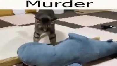 cat murders blahaj 