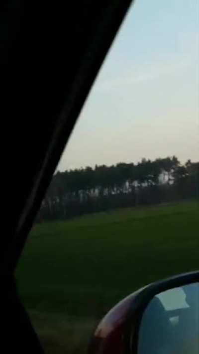 Why did the deer cross the road?