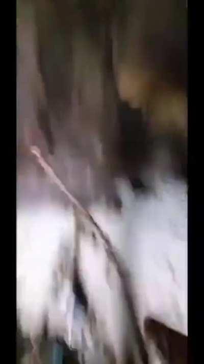 Does anyone know what this is?