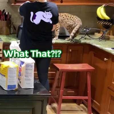 Lancelot meets Blender