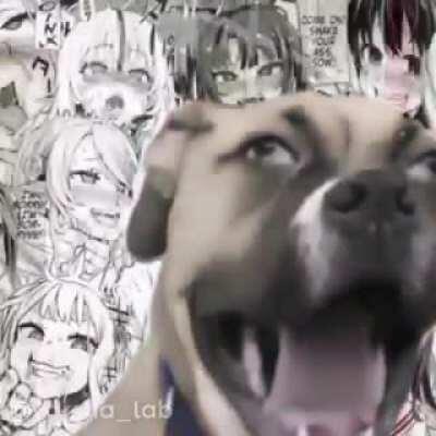 It’s a meme I found on discorda week or two ago and I think it sounds really nice if anyone knows the name and would Tell me