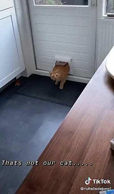 Oops.....I'll see myself out....