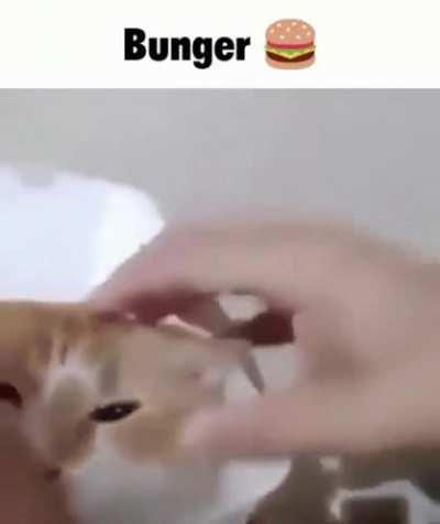 bruger 🤤🤤🤤🤤🤤🤤