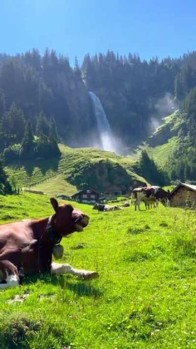 Beautiful scenery, Switzerland