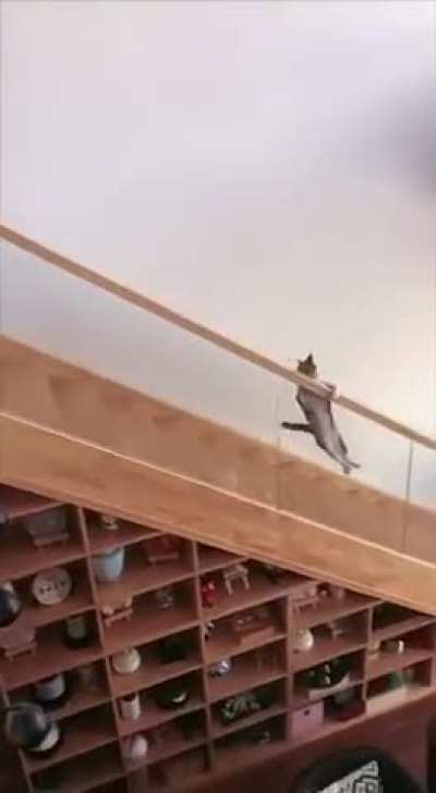 Fast descent down the career ladder
