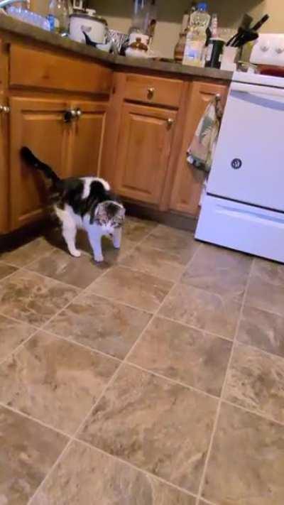 Cuban parents with their American kids.